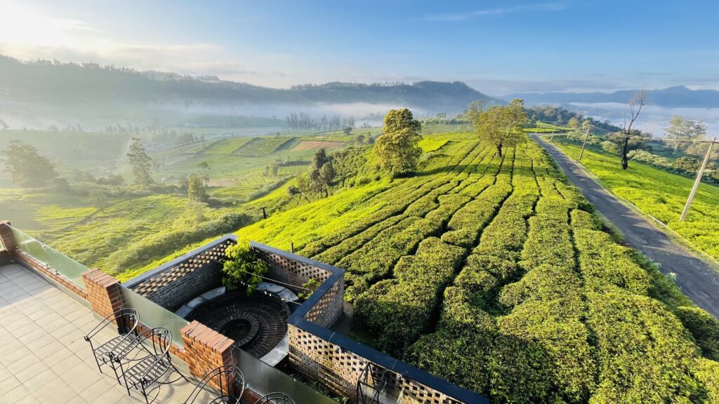 Sage 4bhk luxury villa in ooty, 5bhk luxury villa in Ooty, Avalanche lake, Clean homestay, Airbnb Villa at Ooty